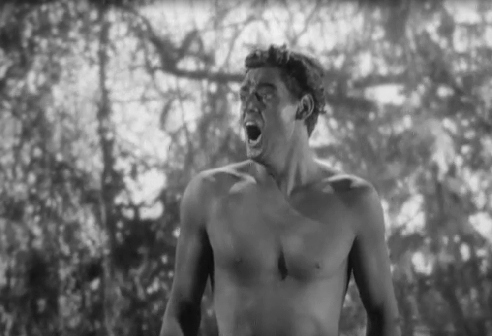 Тарзан исполняет свой фирменный крик. Кадр фильма &laquo;Тарзан &ndash; человек-обезьяна&raquo; (1932).&nbsp;Фото:&nbsp;MGM