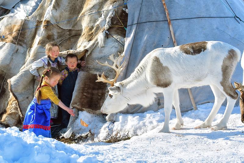 Ненецкие дети кормят оленя, Ямало-Ненецкий АО. Фото: Игорь Иванко / Коммерсантъ