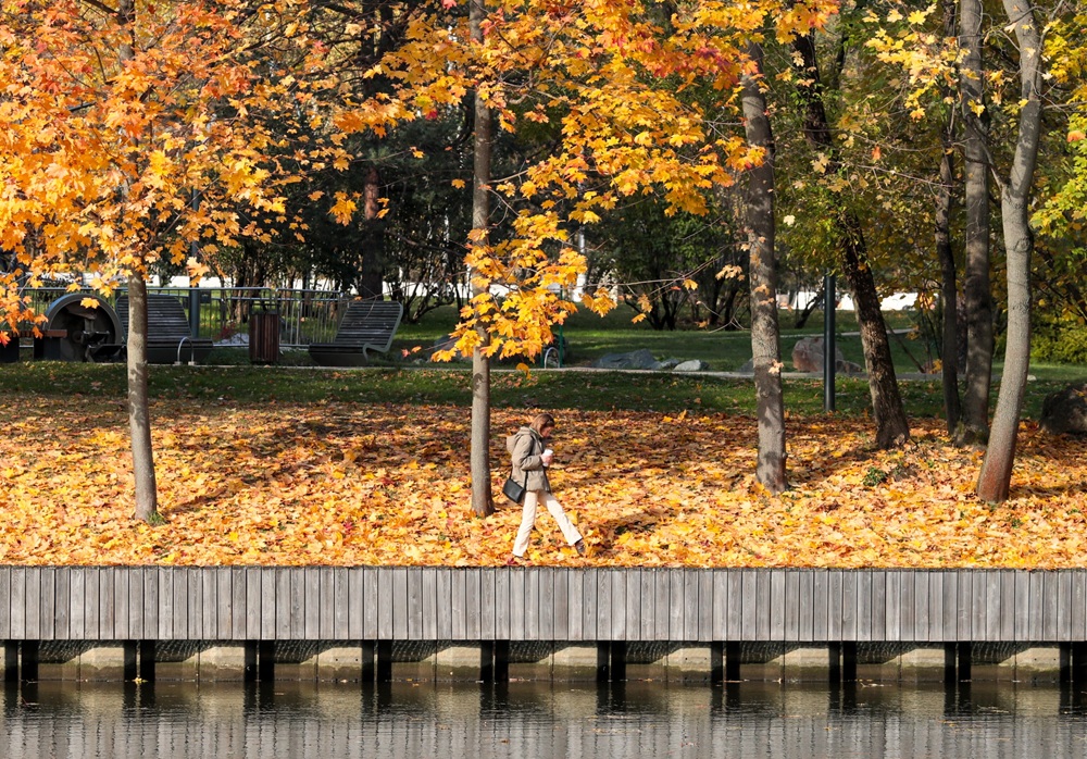 Фото: Кузьмичёнок Василий / Агентство «Москва»