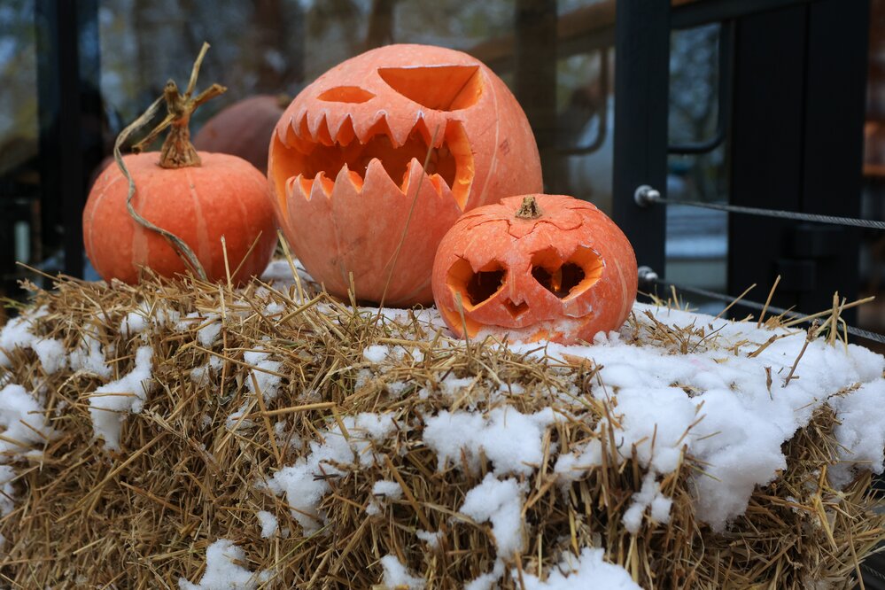 Фото: Чингаев Ярослав / Агентство «Москва»