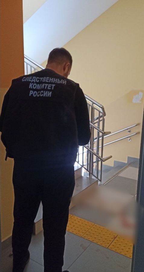 В Нижнекамске у 13-летнего подростка произошел конфликт в школе с технической работницей, после чего он нанес ей ножевые ранения, а также произвел выстрел из сигнального устройства. Фото:&nbsp;Следственный комитет РФ