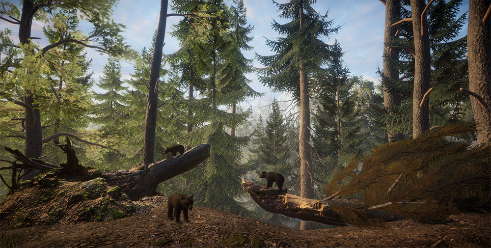 Фото: centermars.ru