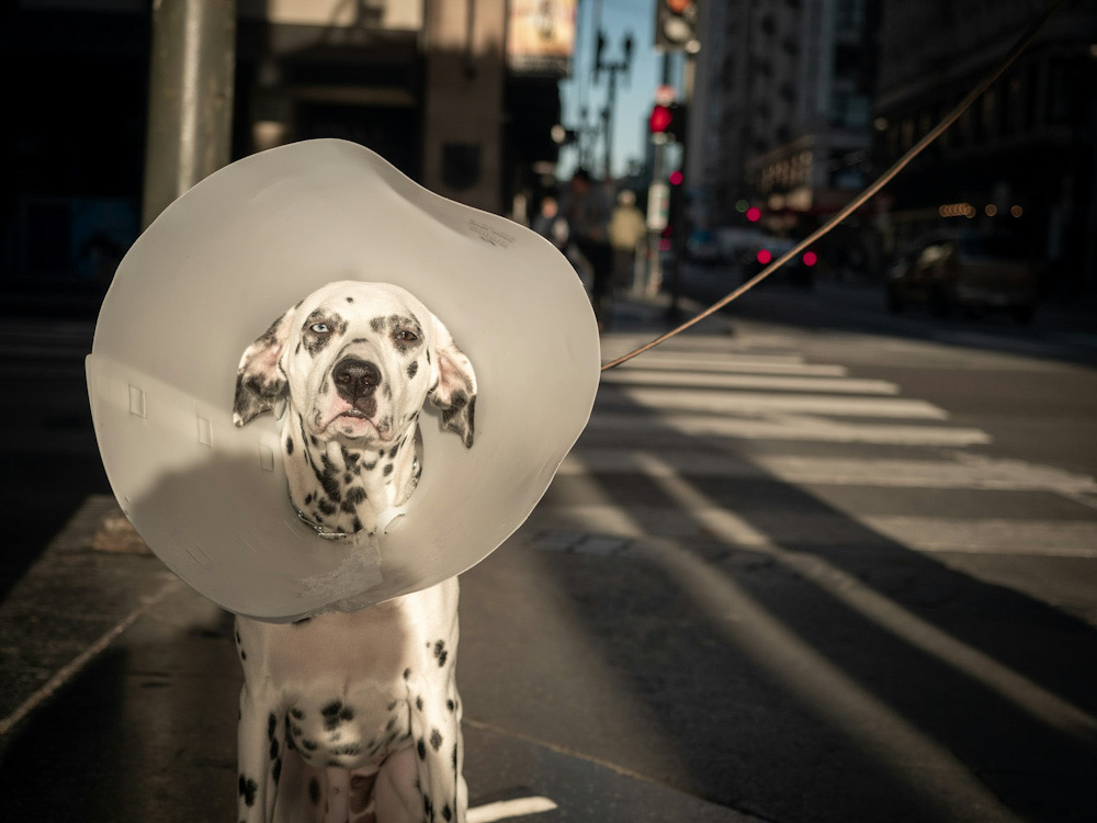 Фото: Mike Kilcoyne / Unsplash