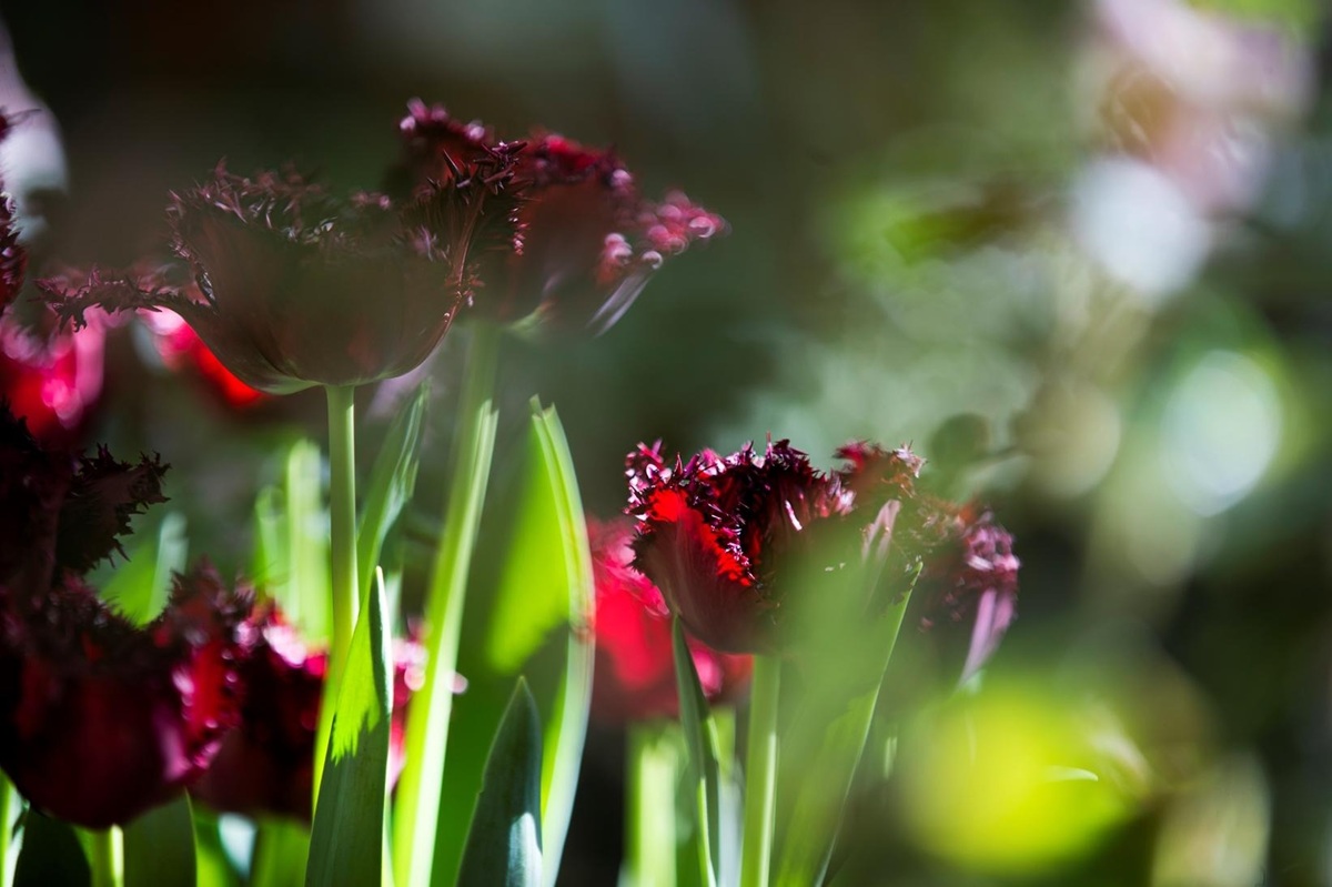 Фото:&nbsp;tsaritsyno-museum.ru