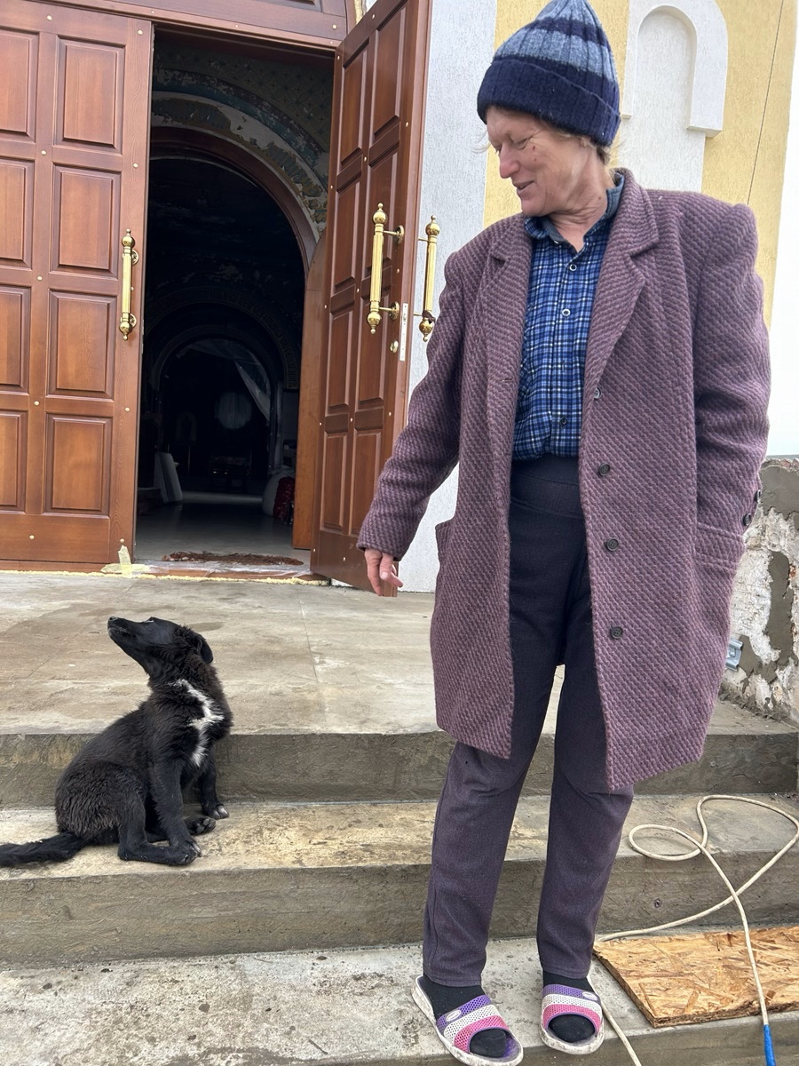 Фото: Андрей Васенёв