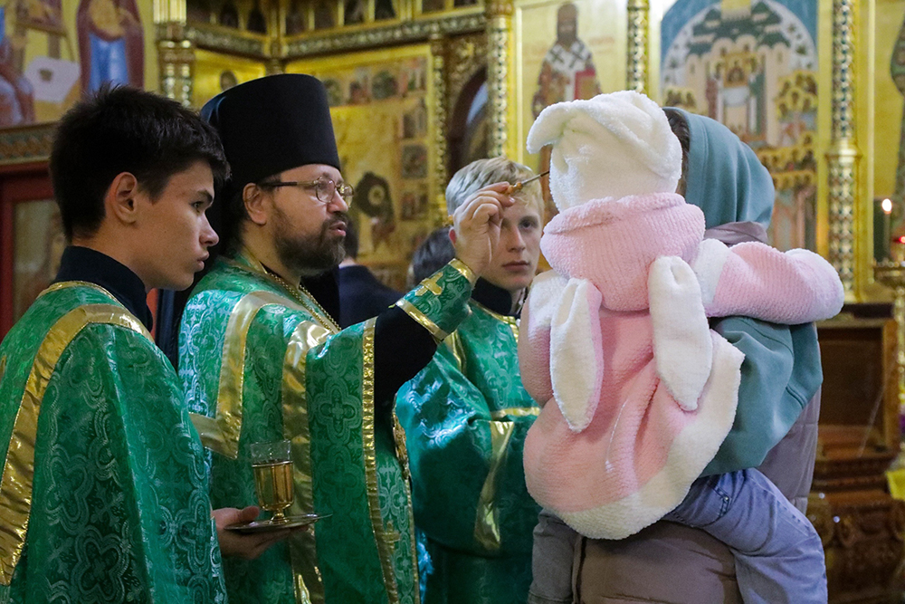 Фото: Артемий Кудряков / vk.com/tobds