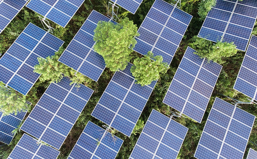 Солнечные электростанции в уезде Шусянь, Китай. Фото:&nbsp;fr-cable.com