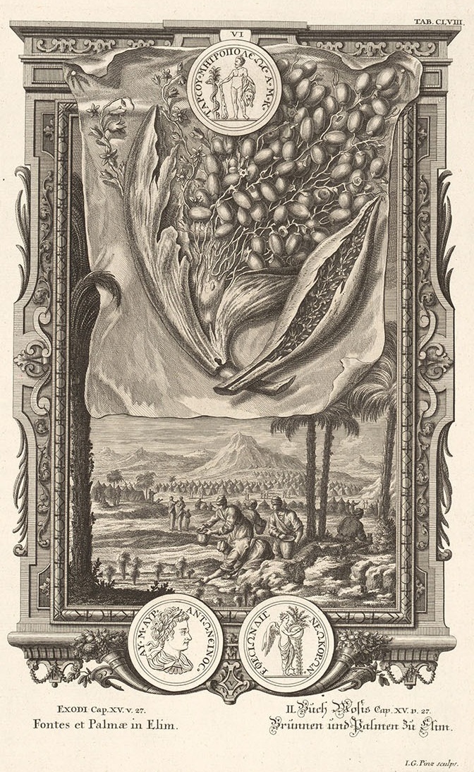 Фото:&nbsp;biblenature.gbmt.ru