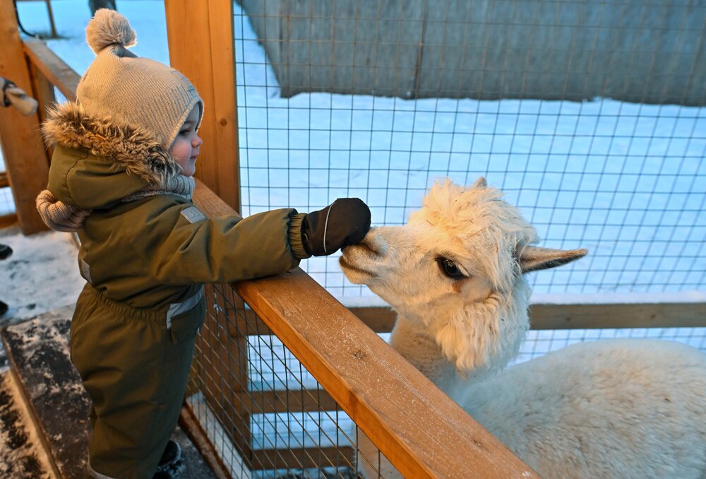 Фото: Киселев Сергей / Агентство «Москва»