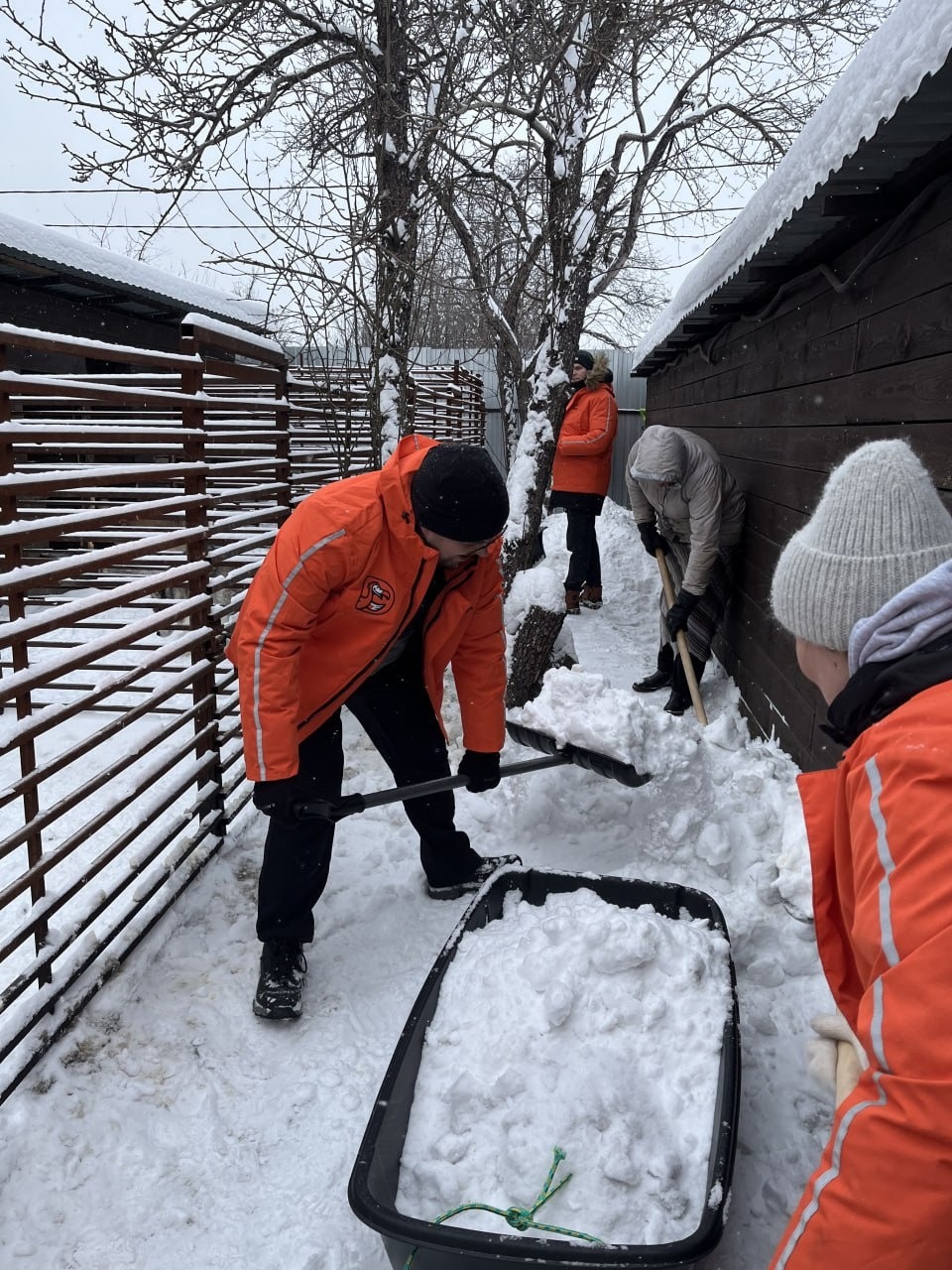 Сотрудники &laquo;Додо&raquo; убирают снег в приюте Того. Фото: vk.com/priuttogo