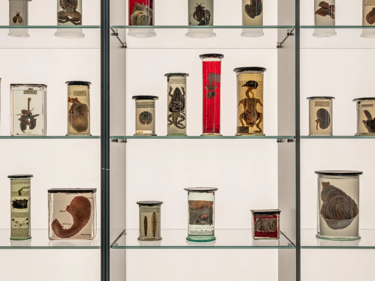 Фото:&nbsp;vk.com/vdnh