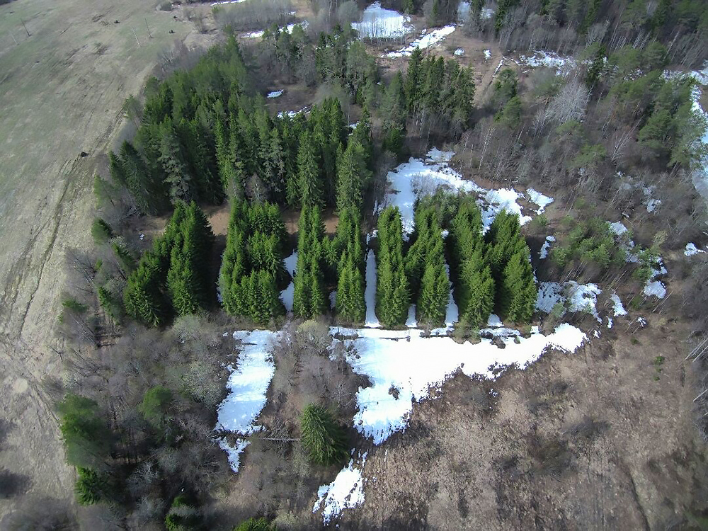Геоглиф «Ленин» в Вологодской области. Фото: Ladmirall / Wikipedia