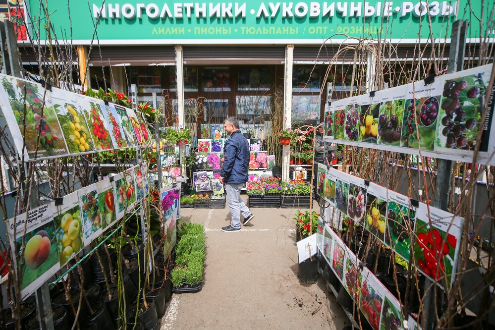 Продажа товаров для дачи в ТК «Садовод». Фото: Ведяшкин Сергей / Агентство "Москва"