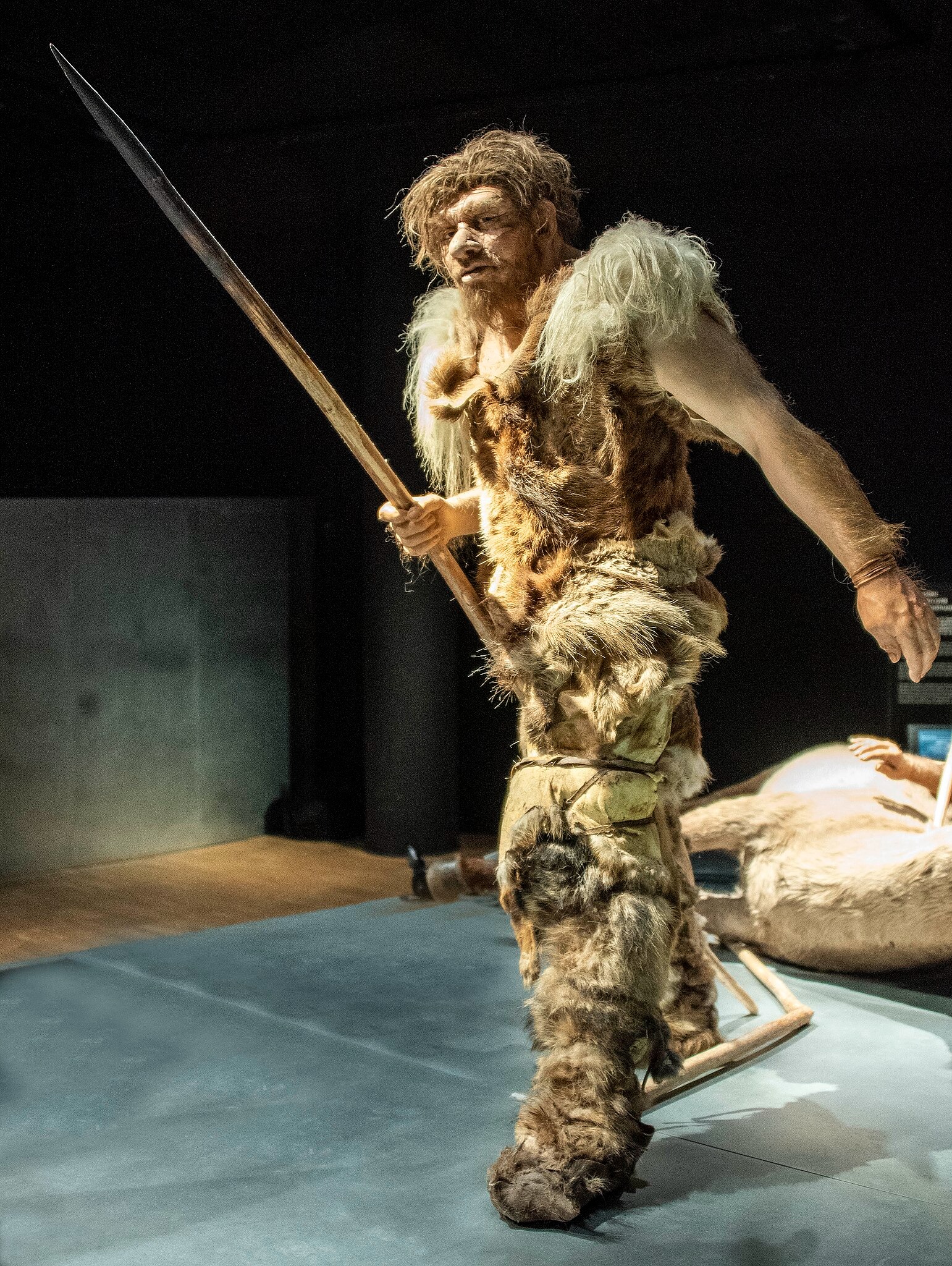 Музей неандертальцев Тонгерена Галло-Ромейна. Фото:&nbsp;Paul Hermans&nbsp;/ Wikipedia