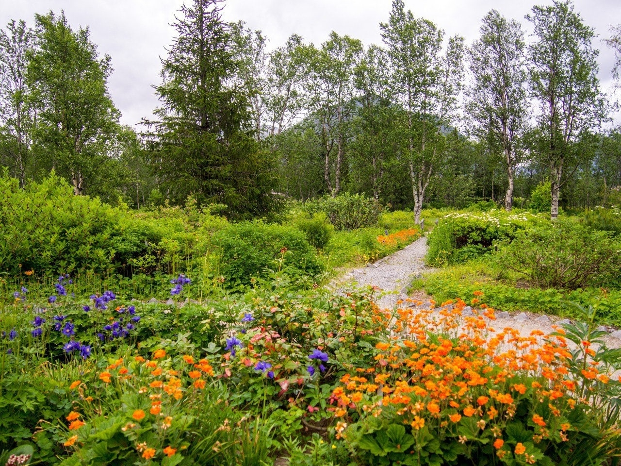 Ботанический сад. Фото: С.Серебрянская / vk.com/pabgi