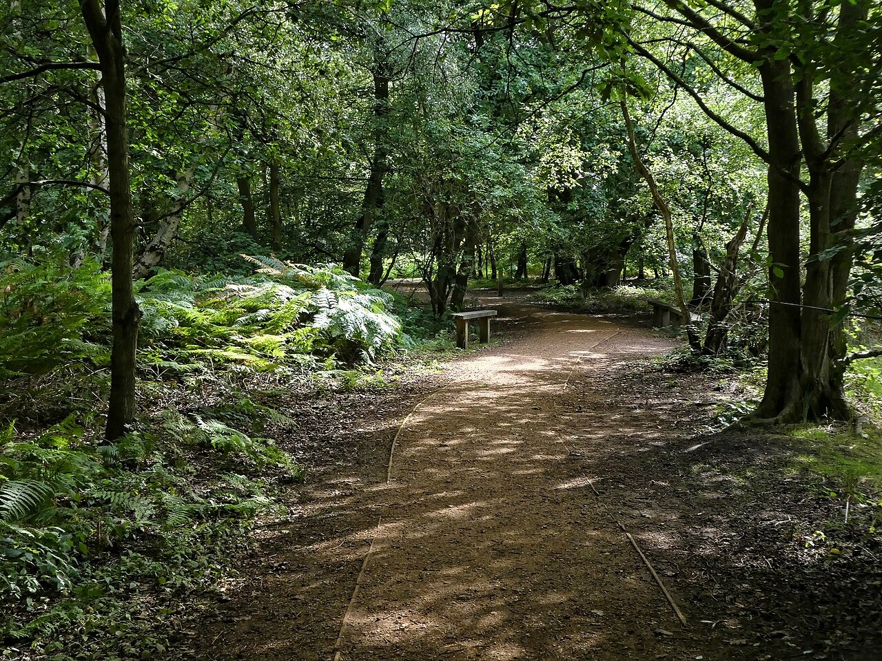 Тропа в парке Эппинг-Форест, Англия. Фото: Acabashi / Wikipedia
