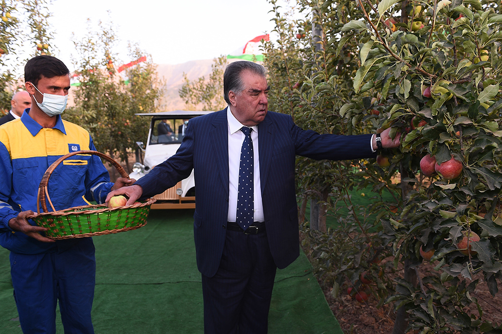 Президент Таджикистана Эмомали Рахмон открыл сады «Пайванд-Рашт». Фото: flickr.com/photos/khadamotimatbuot