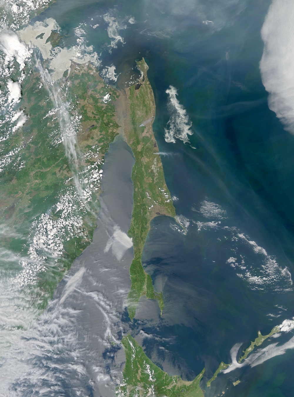 Остров Сахалин. Фото: The Earth Observatory / NASA