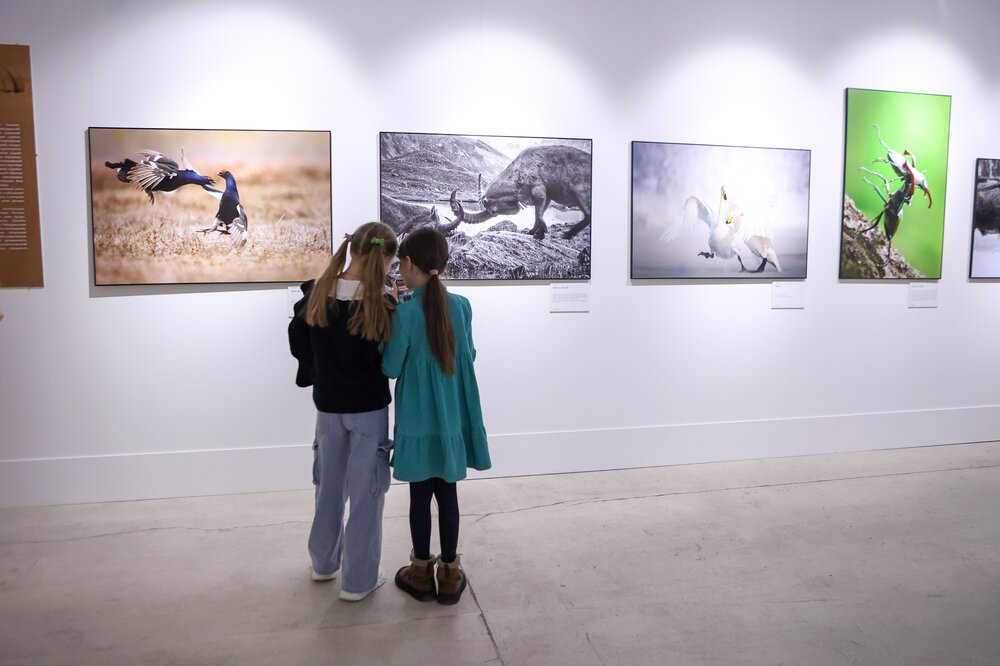Фото:&nbsp;Чингаев Ярослав&nbsp;/ Агентство &laquo;Москва&raquo;