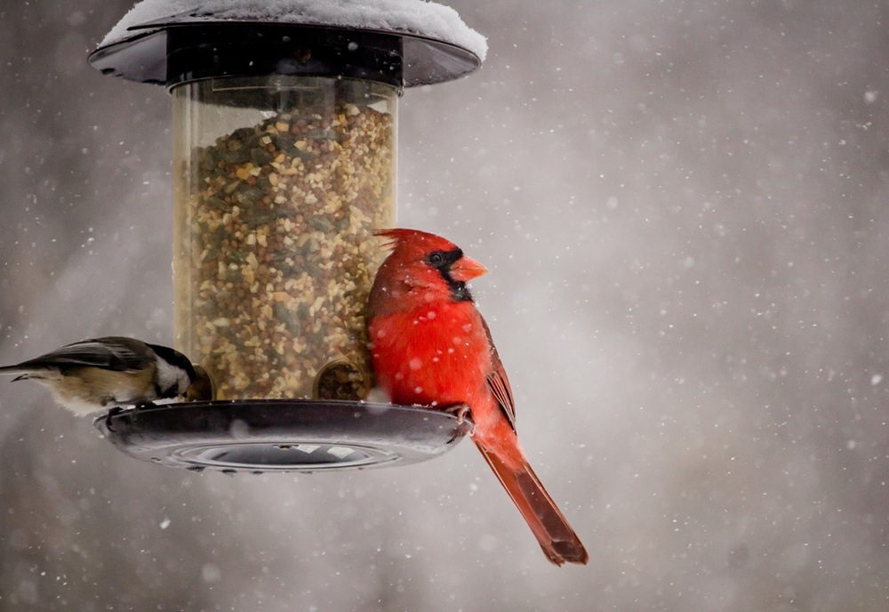 Фото:&nbsp;wirestock&nbsp;/ FreePik