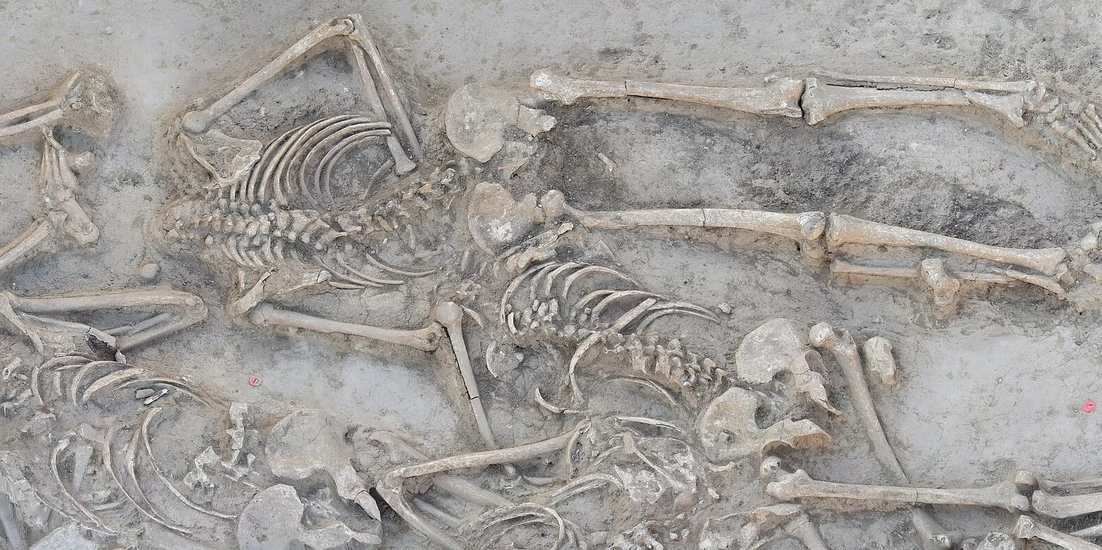 Фото: ©Dr. Till Kühl, Institute for Pre- and Protohistoric Archaeology / Kiel University