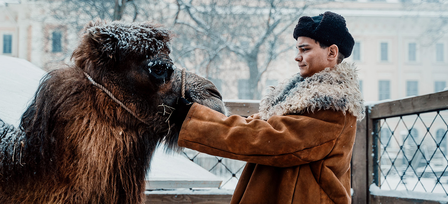 Кадр из фильма «Красавица». Фото: Пандора