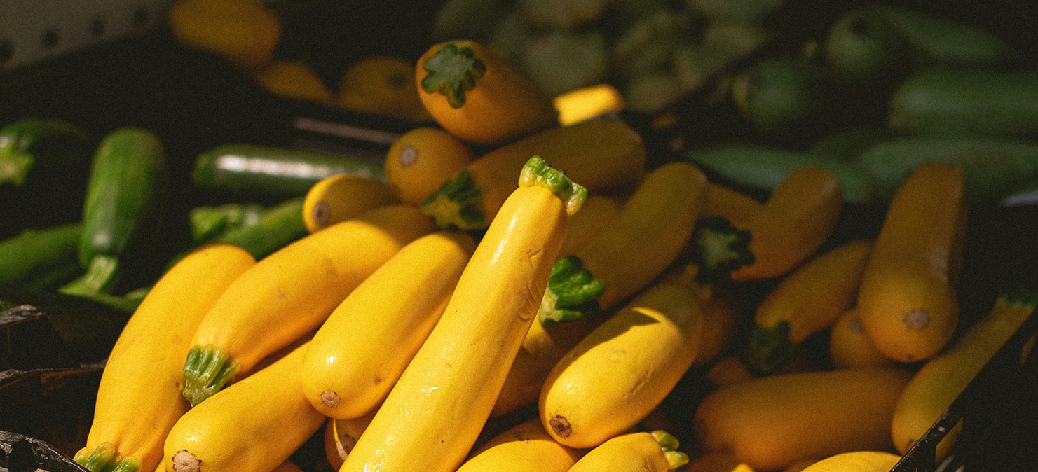 Фото: Bovia & Co. Photography/Unsplash