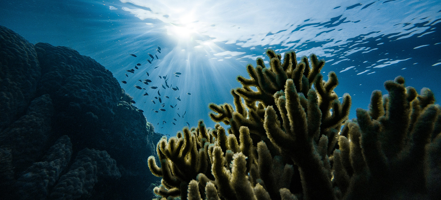 Фото: Marek Okon/Unsplash