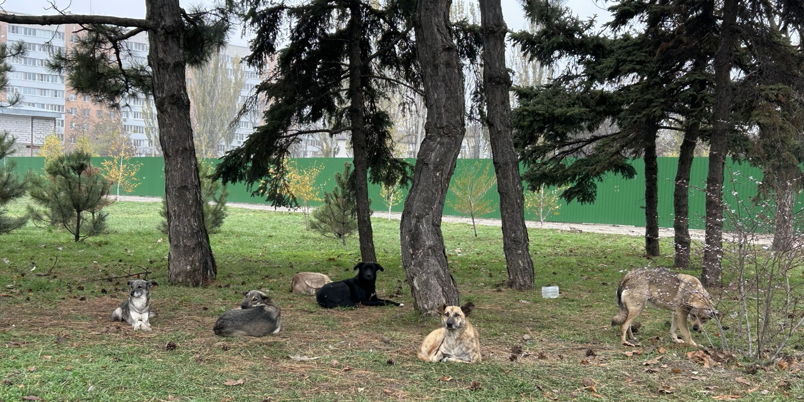 Фото: Андрей Васенёв