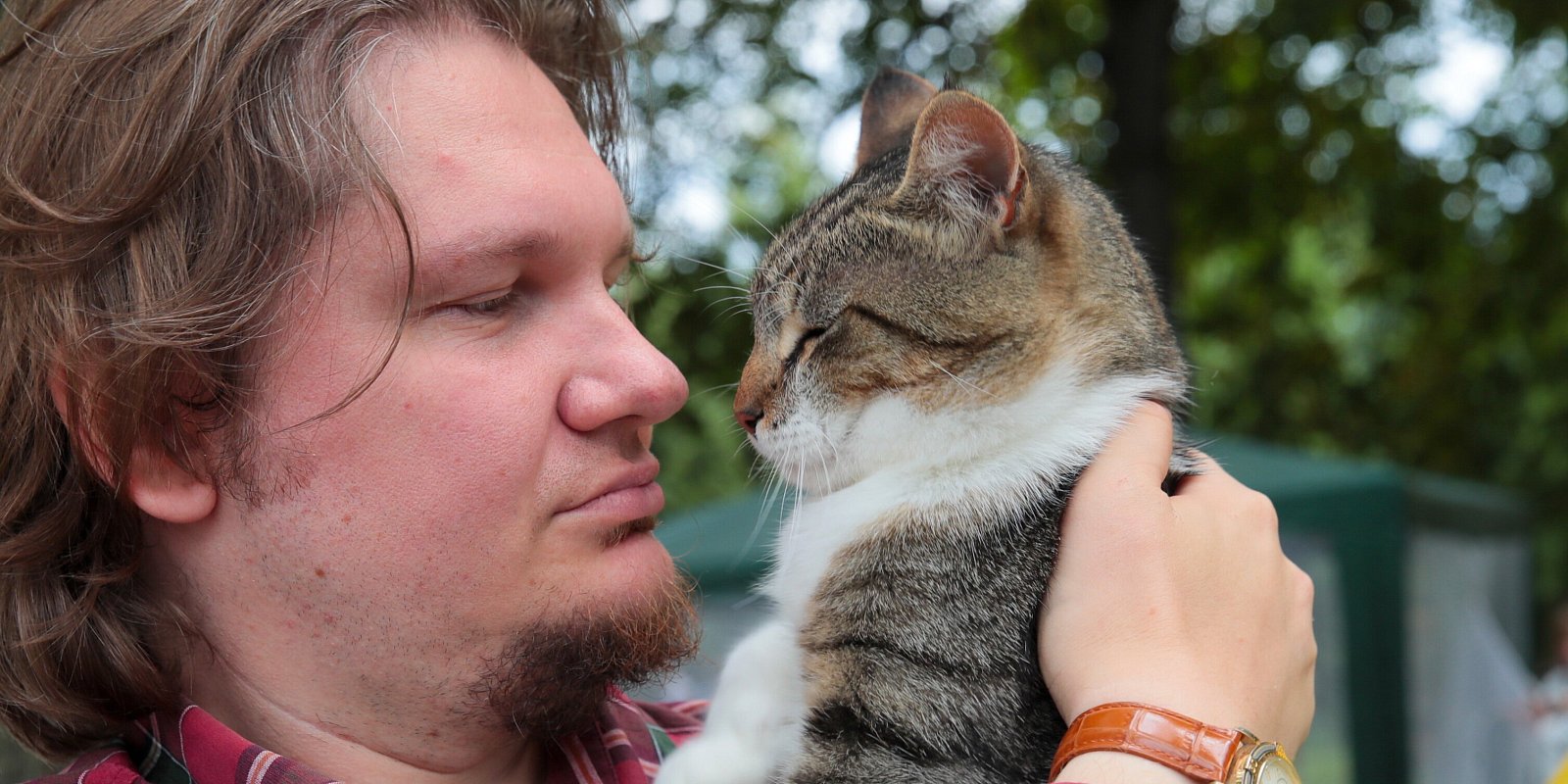 Фото: Кузьмичёнок Василий / Агентство «Москва»