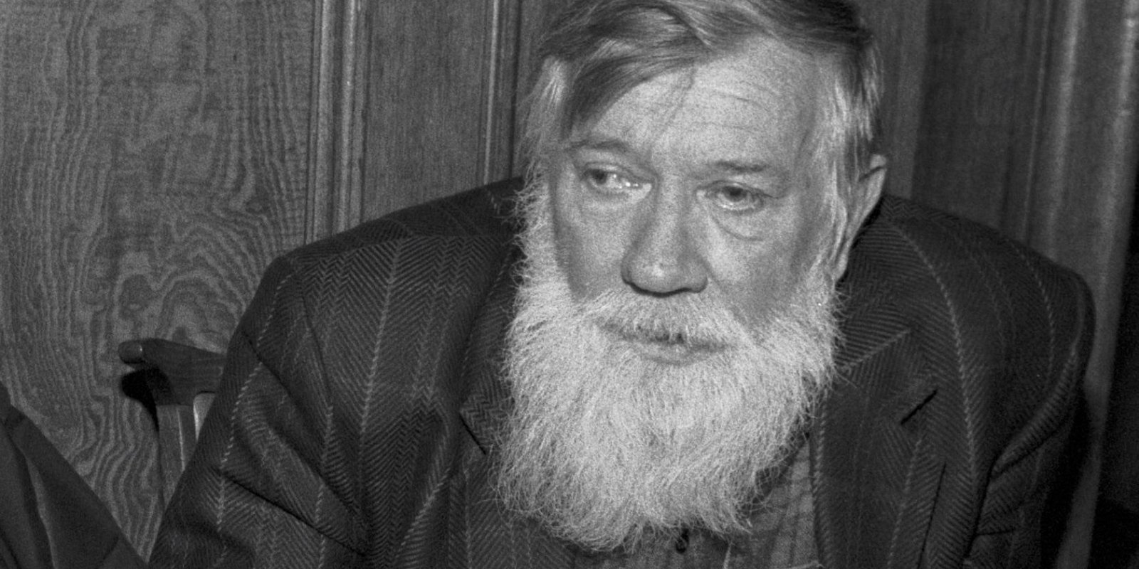 Андрей Синявский. Фото: Олег Ласточкин / РИА Новости