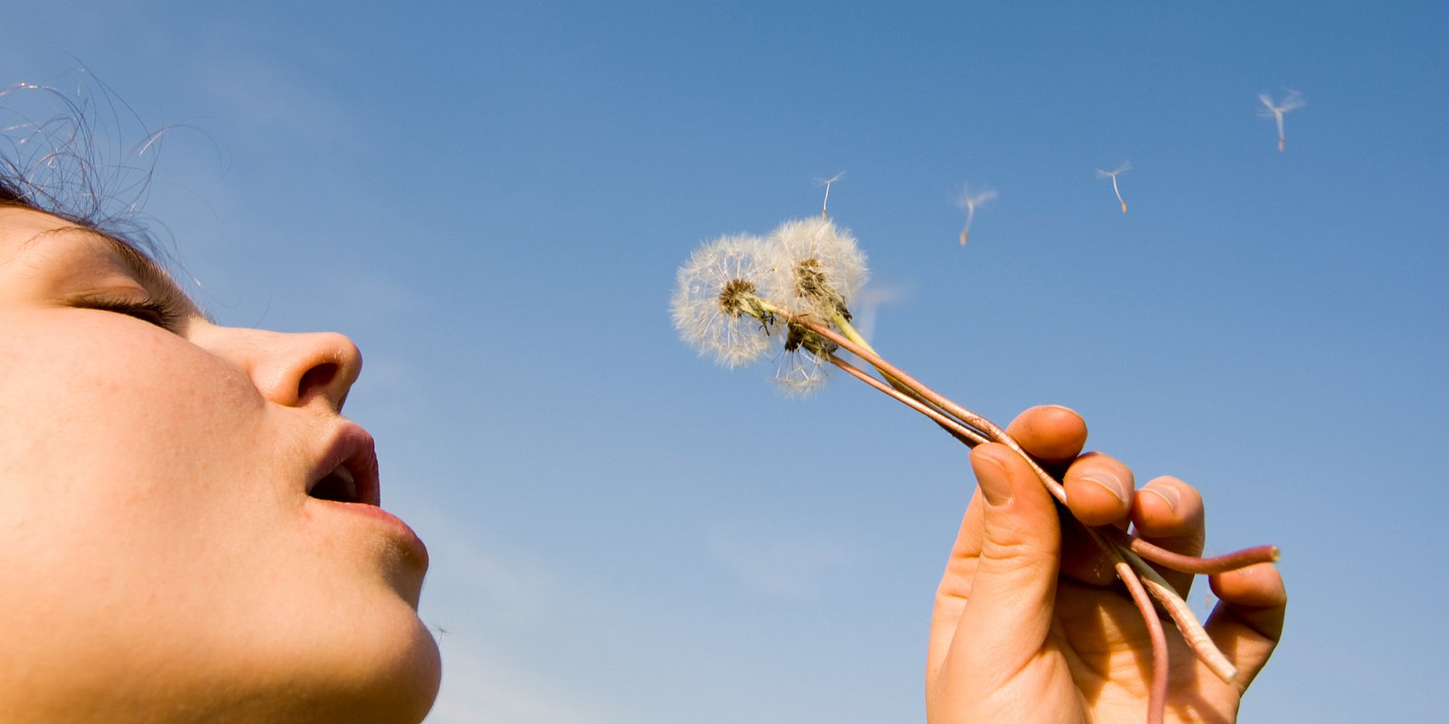 Фото: nikitabuida / FreePik