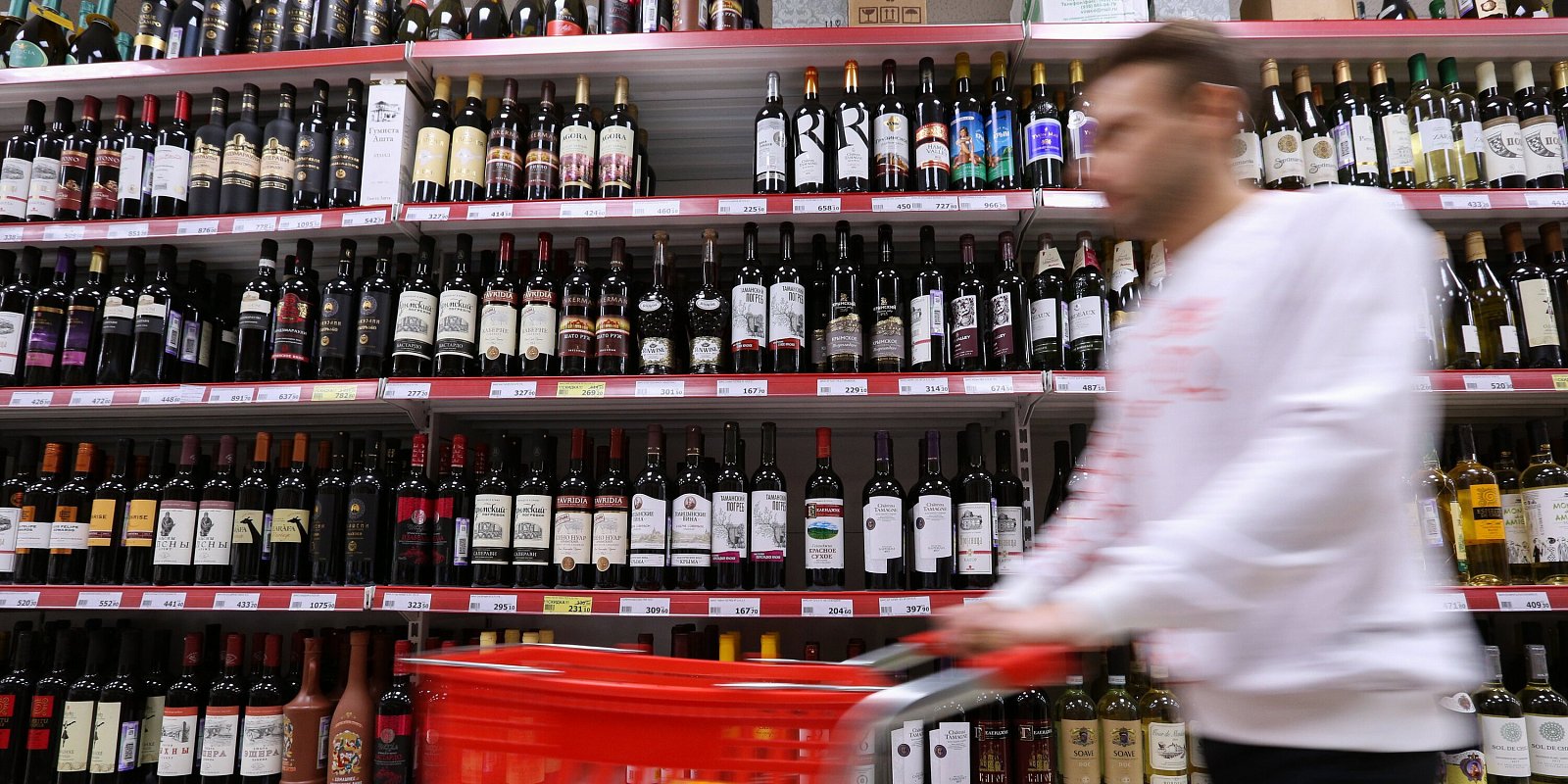 Фото: Зыков Кирилл / Агентство «Москва»