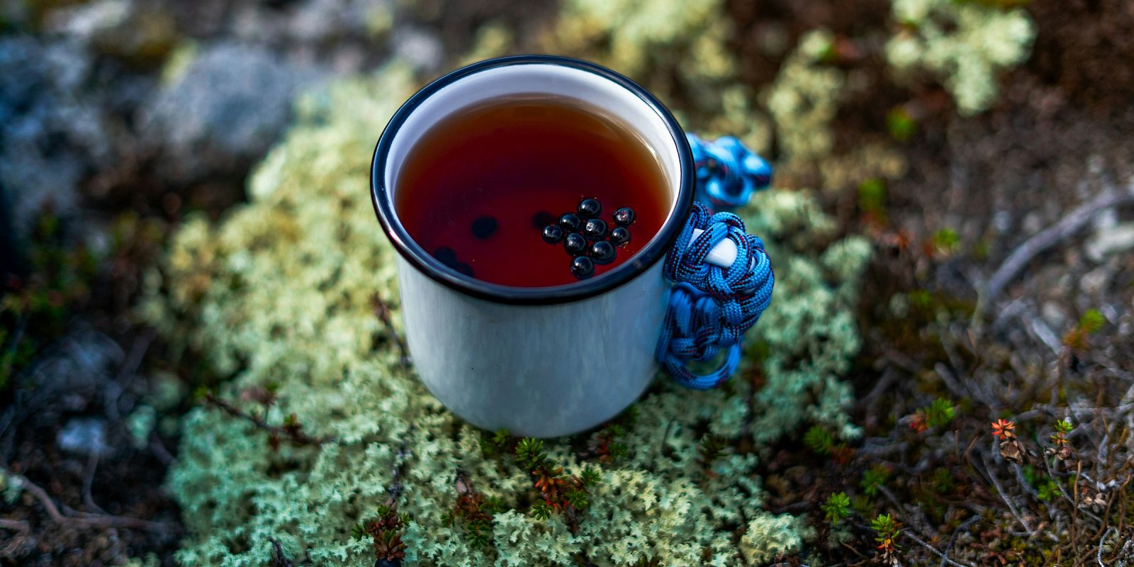 Чай с шикшей. Фото: Vlad Ion / Unsplash