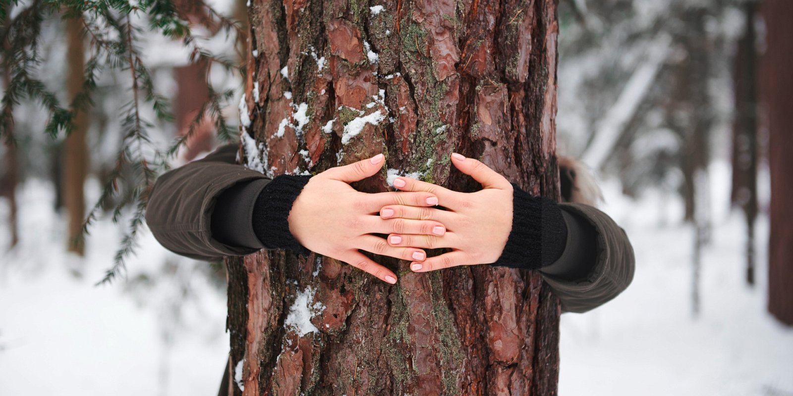 Фото: gpointstudio / freepik.com