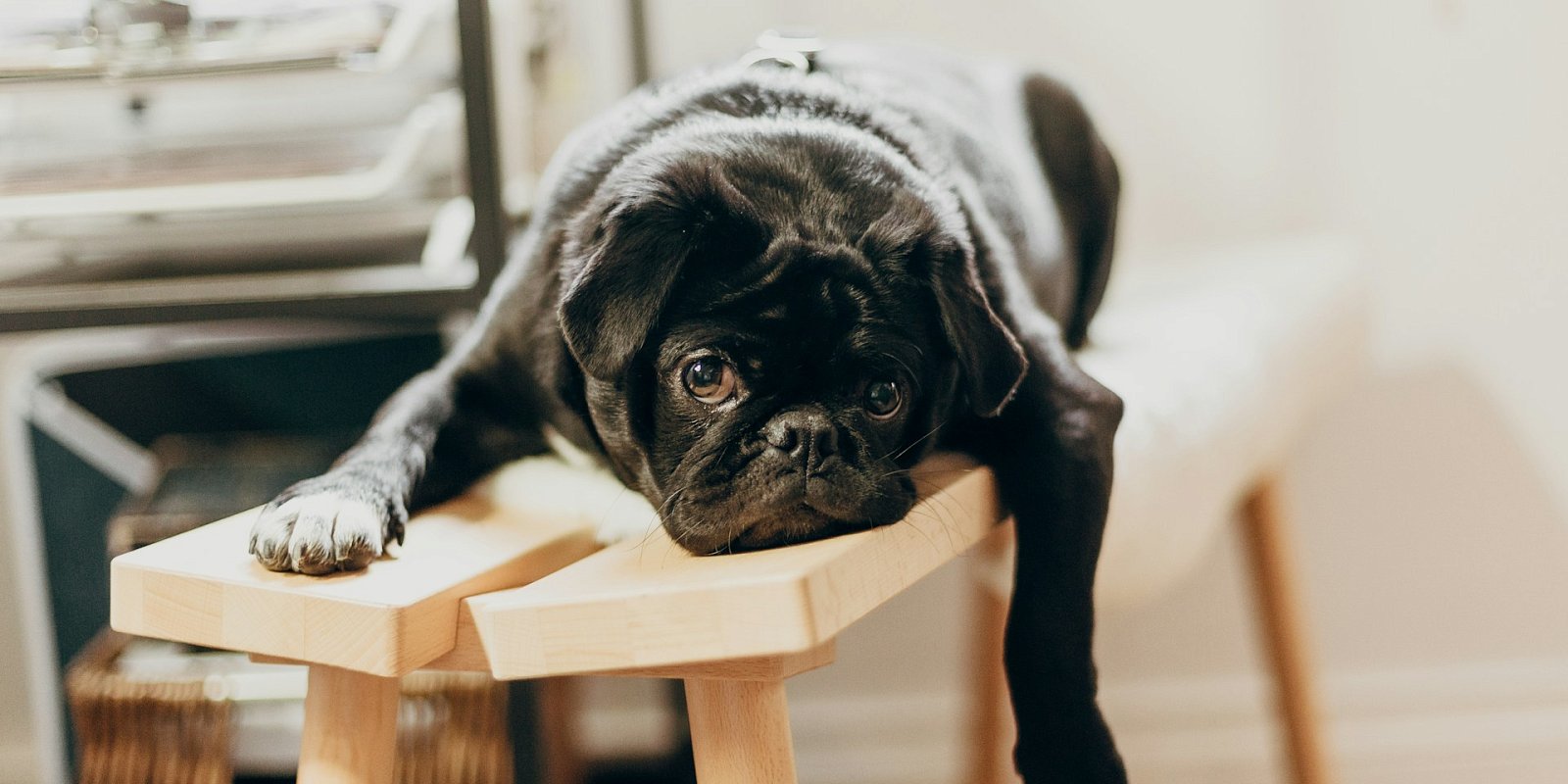Фото: Priscilla Du Preez/Unsplash